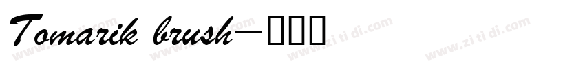 Tomarik brush字体转换
